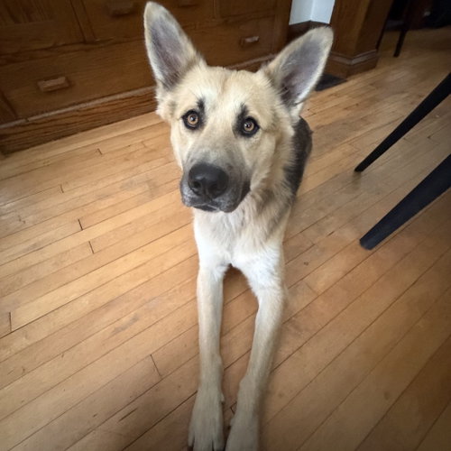 Photo 4 of Chase