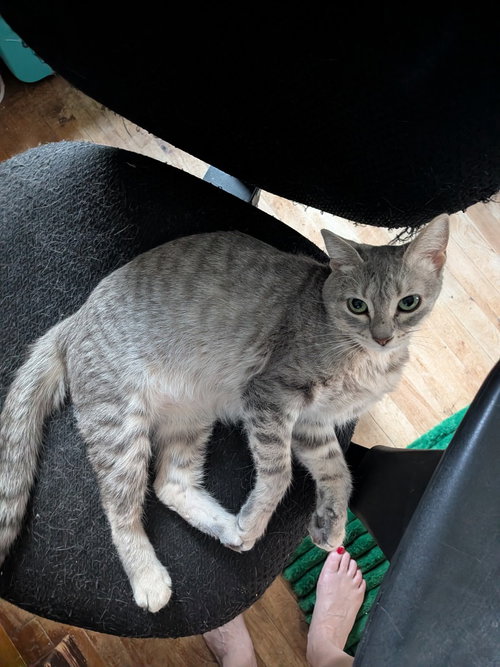Photo 2 of Twyla