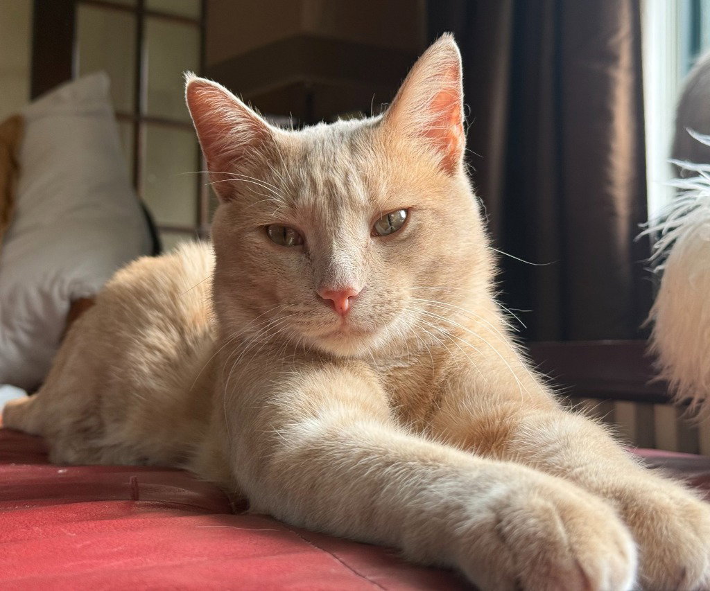 Ed