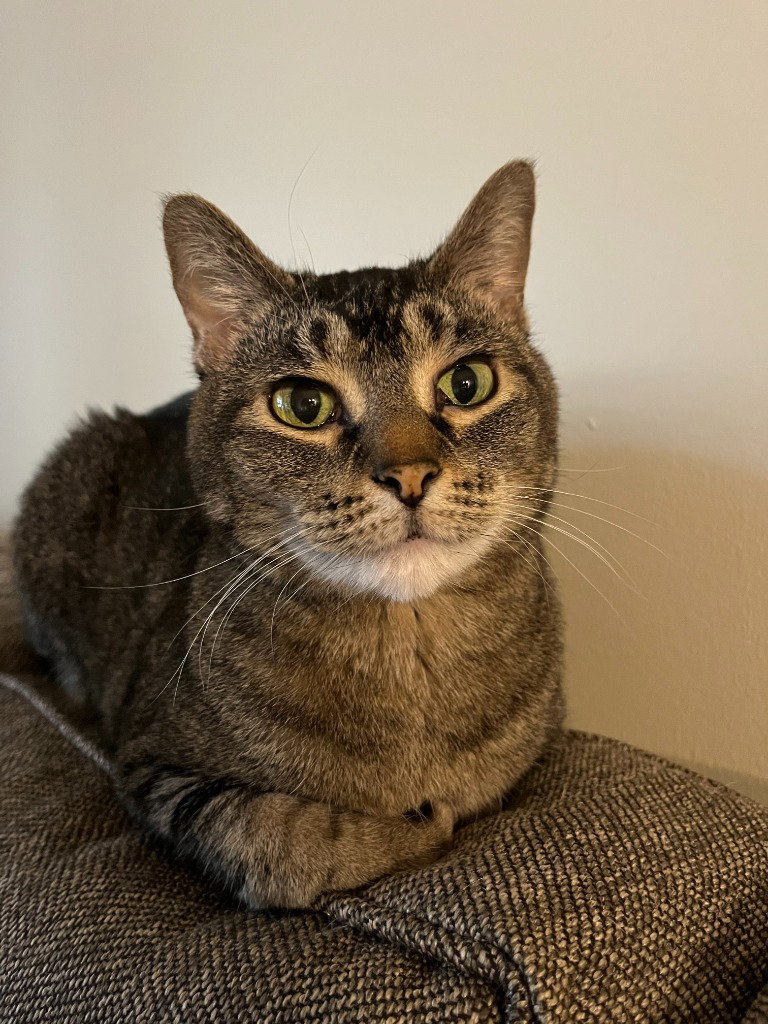Juno