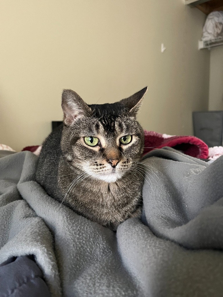 Juno, photo 3