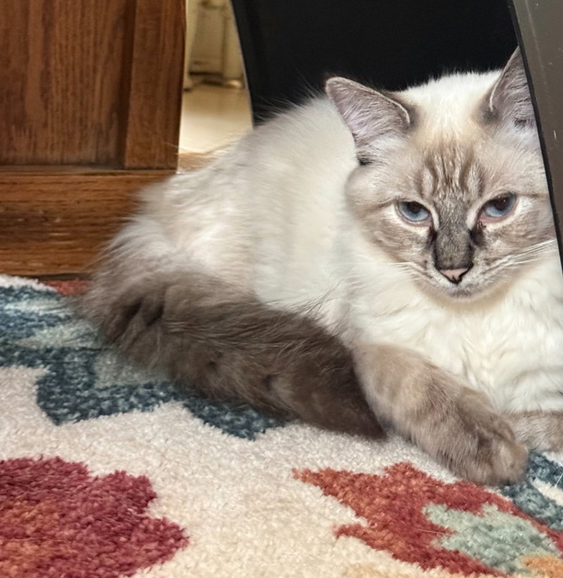 Gwendolyn, photo 4