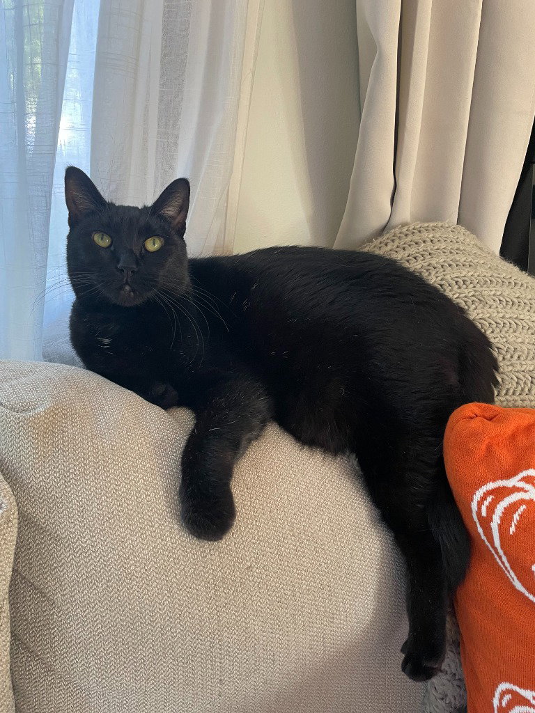 Pip