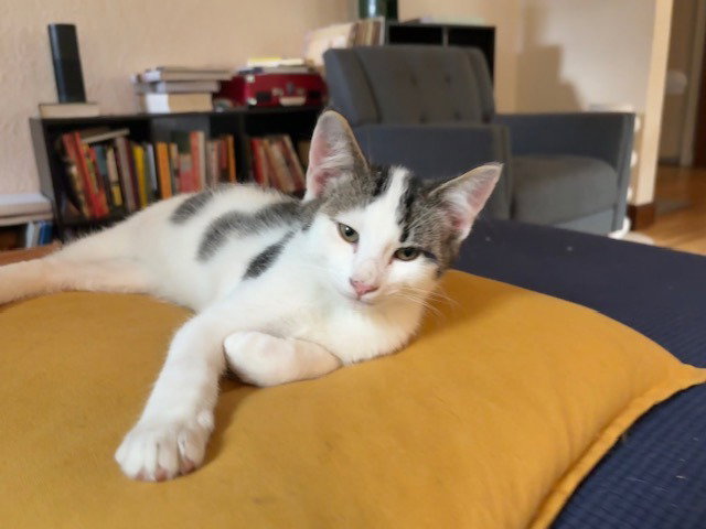 Bernie, photo 3