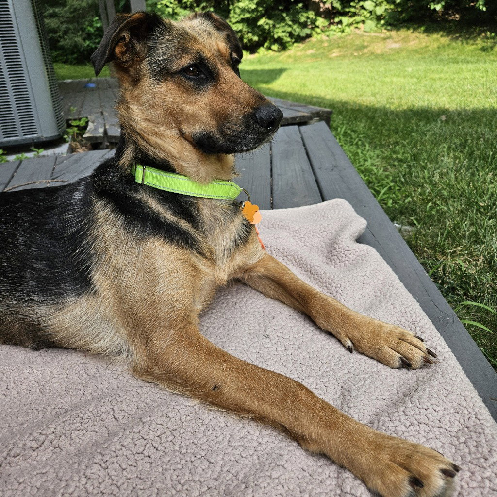 Delilah, photo 2