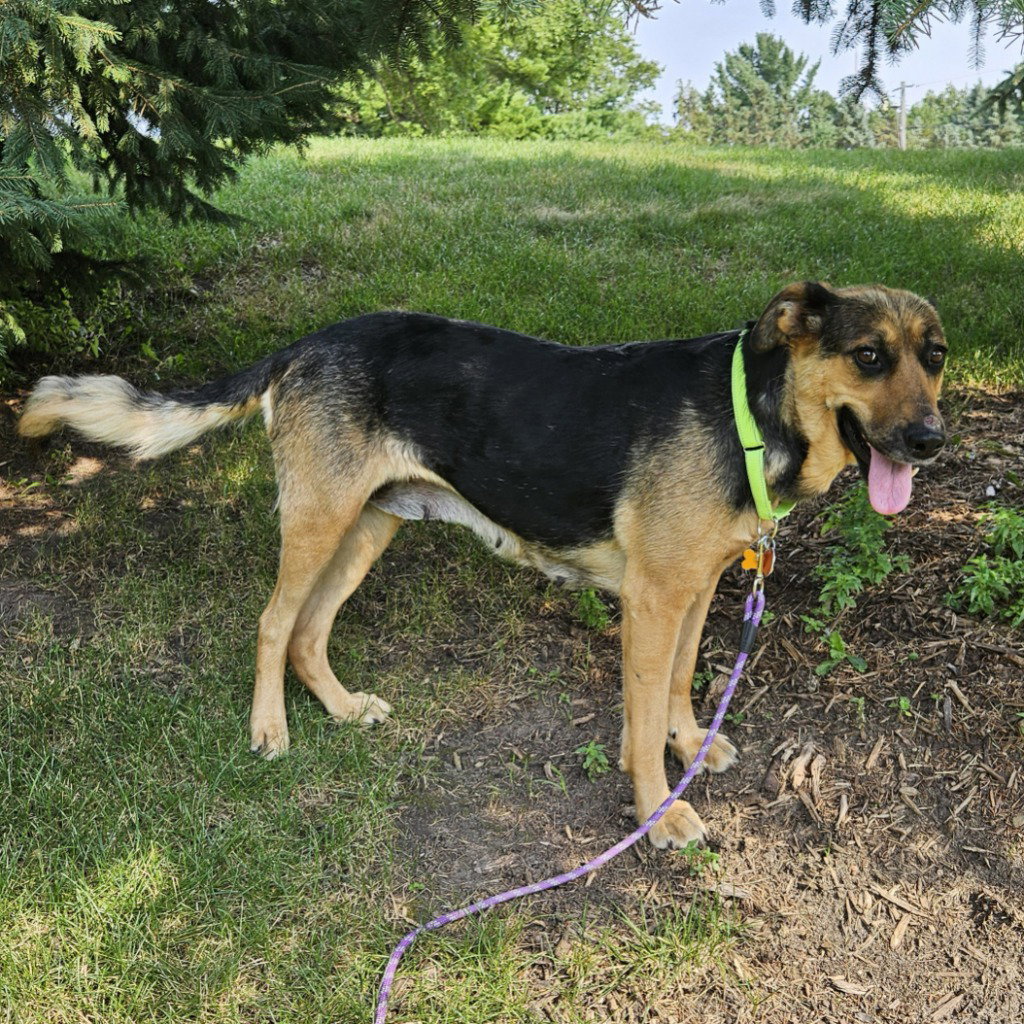 Delilah, photo 3