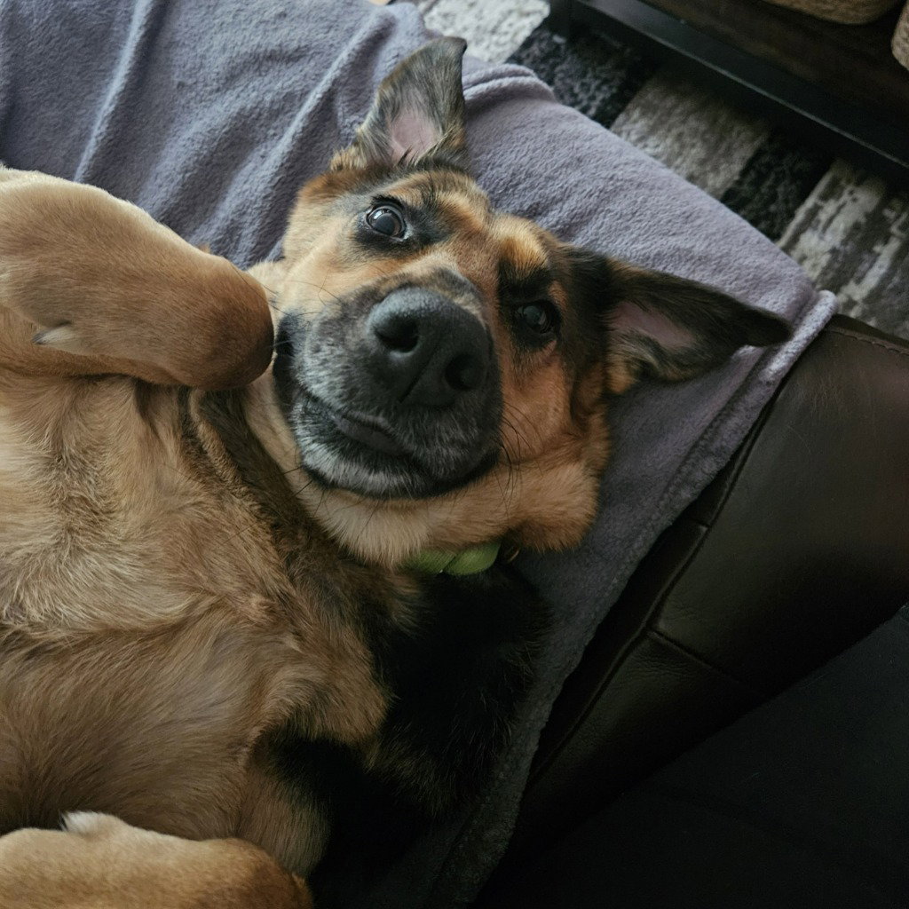 Delilah, photo 4