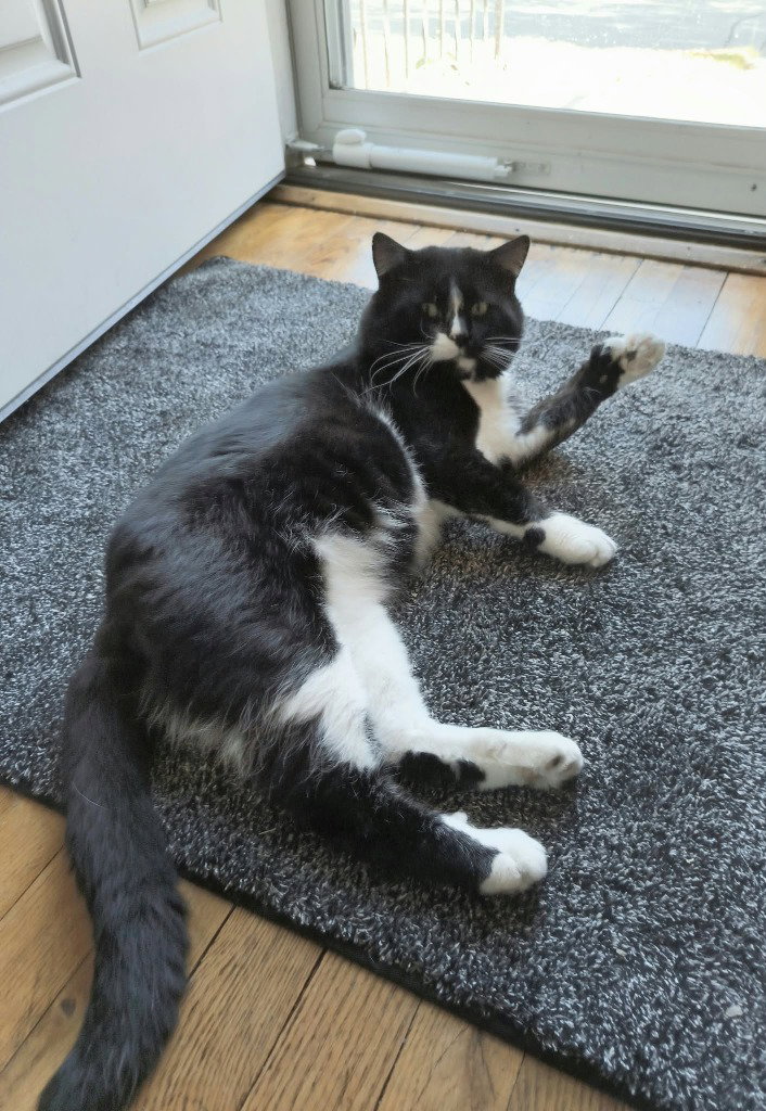 Carl, photo 3