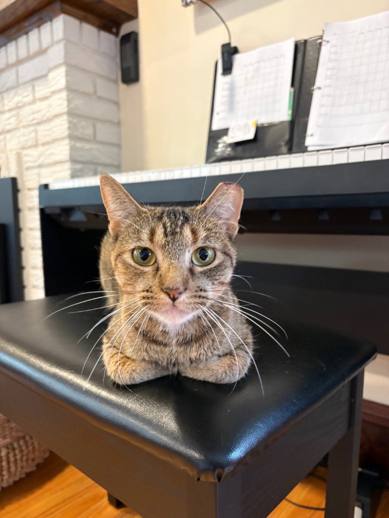 Francine