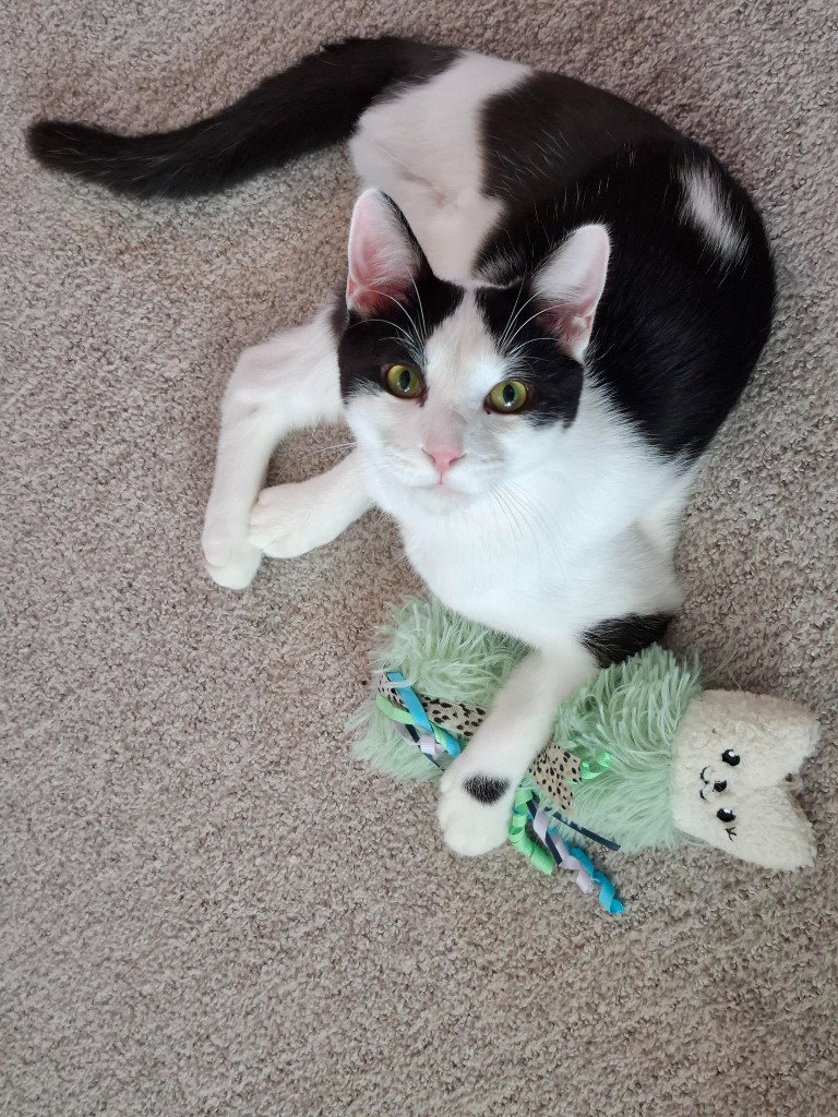 Tiny Tim
