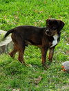 Jethro