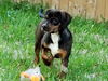 Jethro