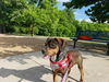 Jethro