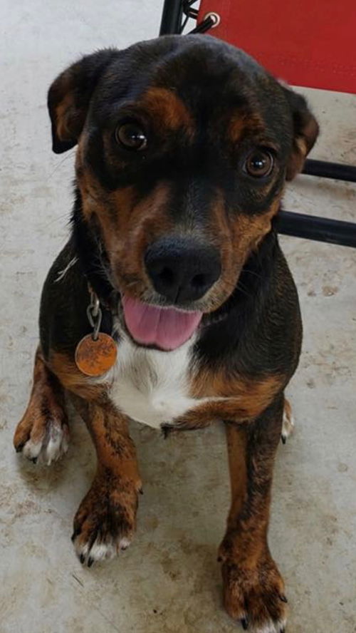 Jethro