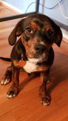 Jethro