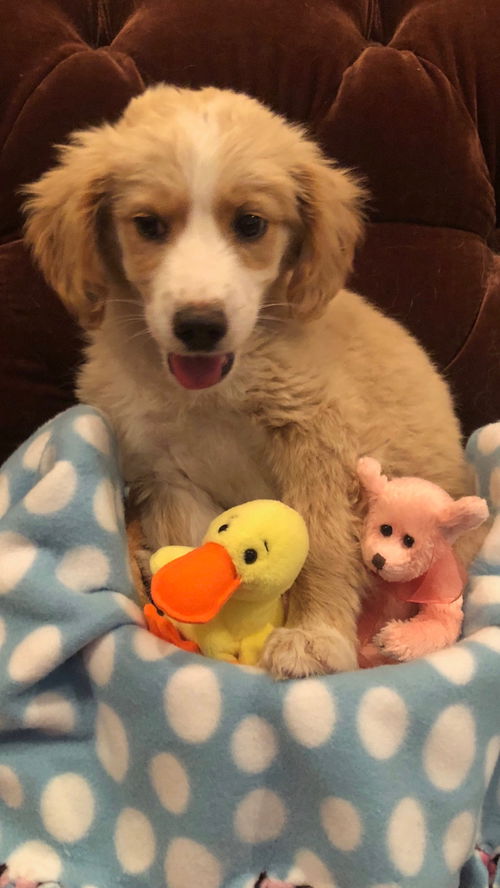 Heidi