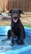 Charlie