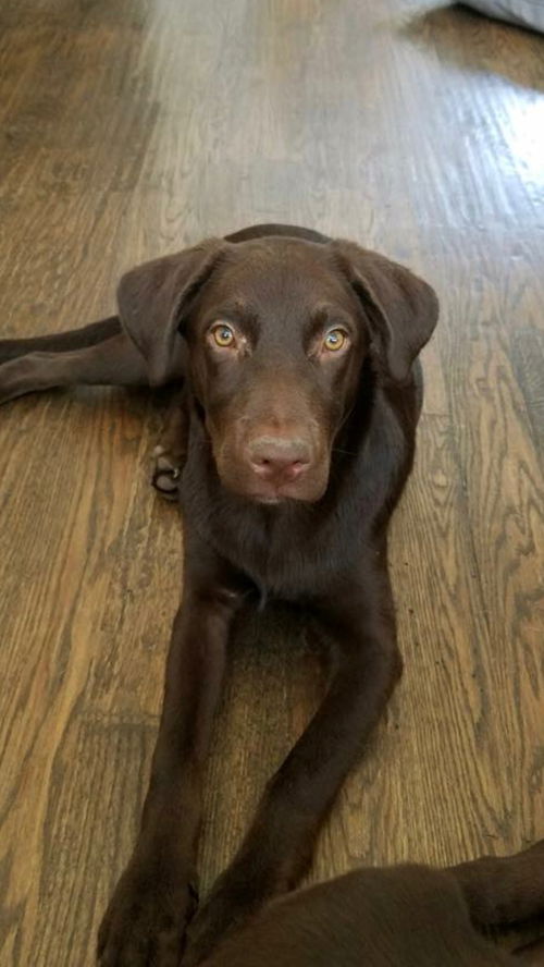 Charlie