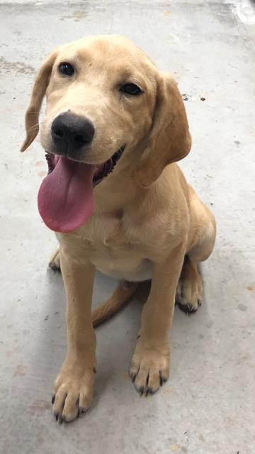 Tucker