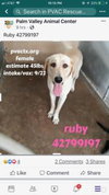 Ruby