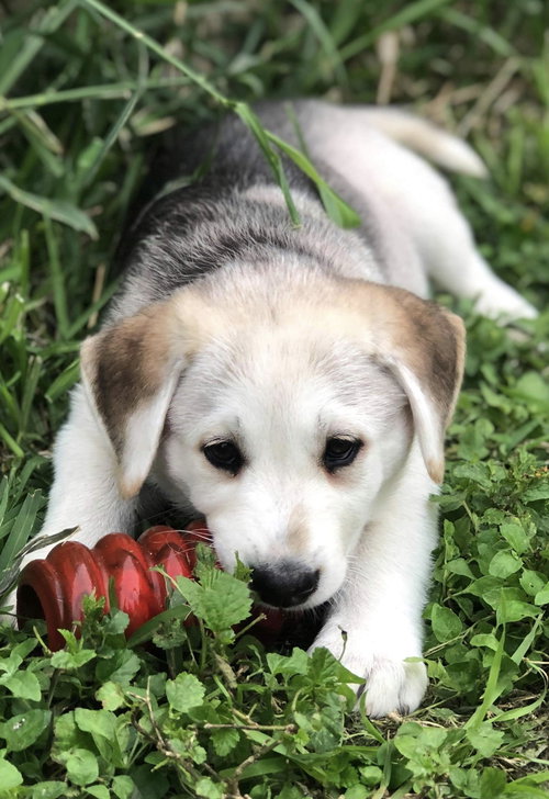 <3 Venus