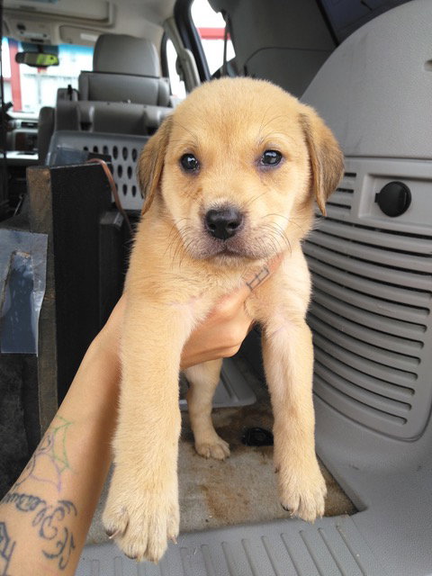 < Shilo