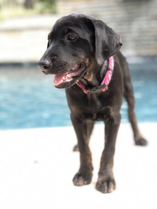 **Camila