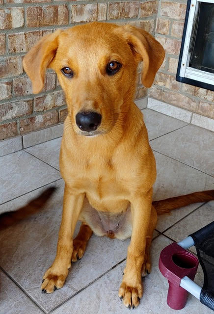 )Riley Roo