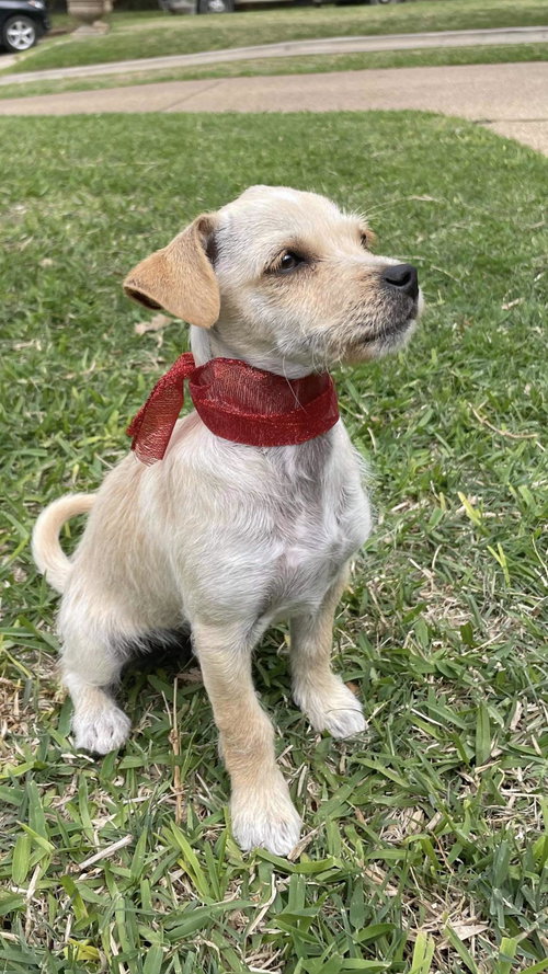 -- Pepito