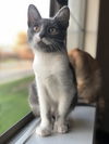 Marie
