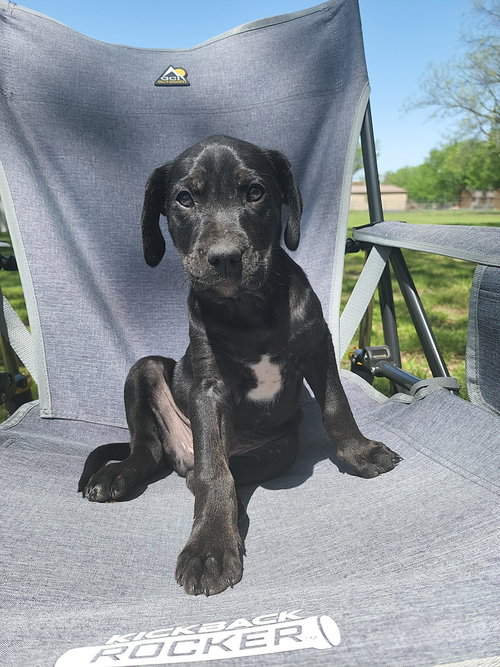 : Kenai