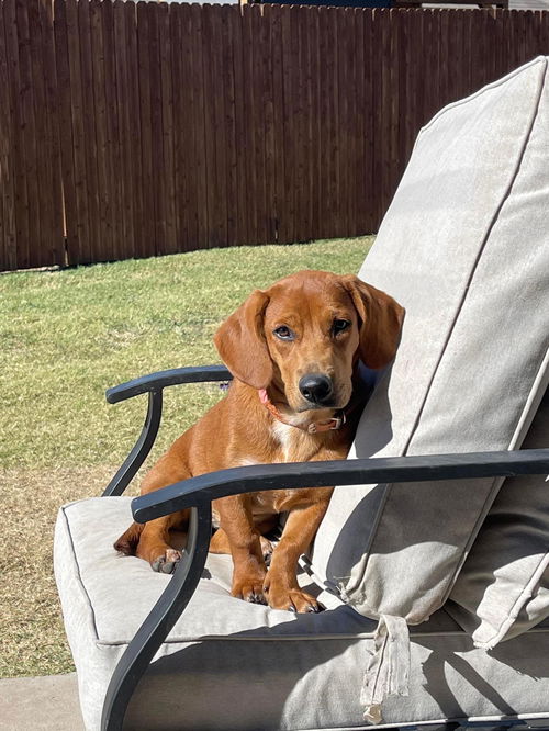 : Heidi