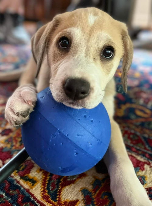 * Nellie