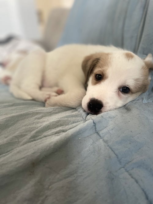 * Nala