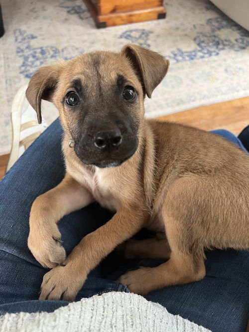 ! Peanut