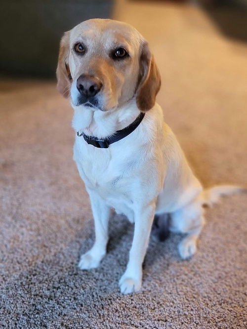 `Penny
