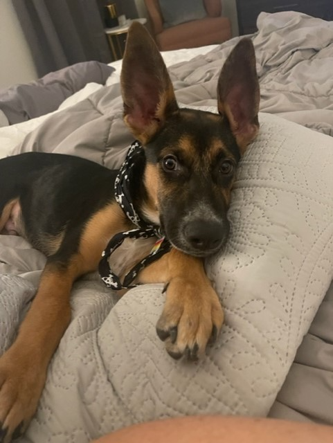 Murphy