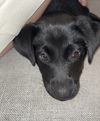 Tully