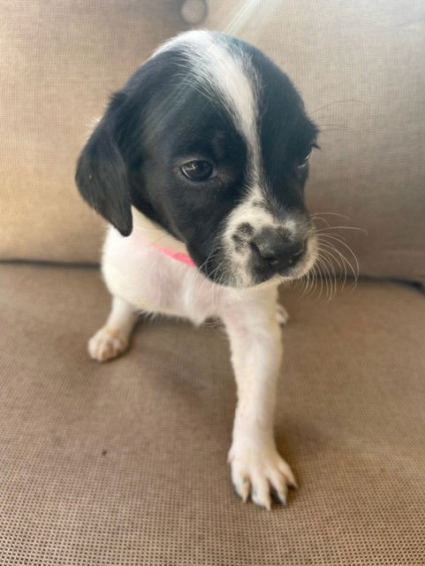 ^ Mirabel