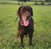 Monty