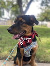/ Roxy