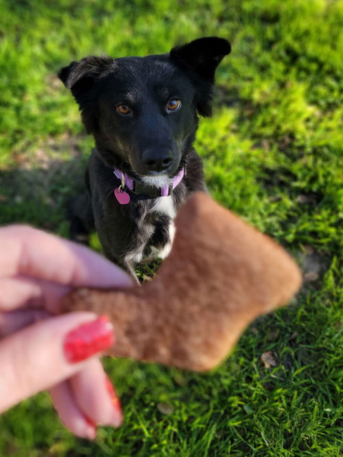 Cinnamon