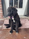 Tux