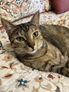 Cleo