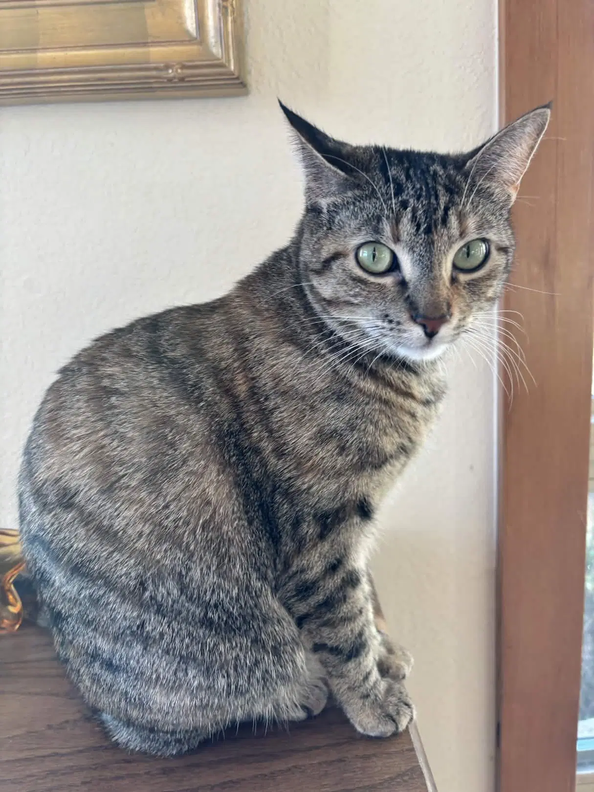 Cleo image 4