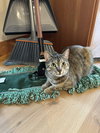 Cleo - Photo 2