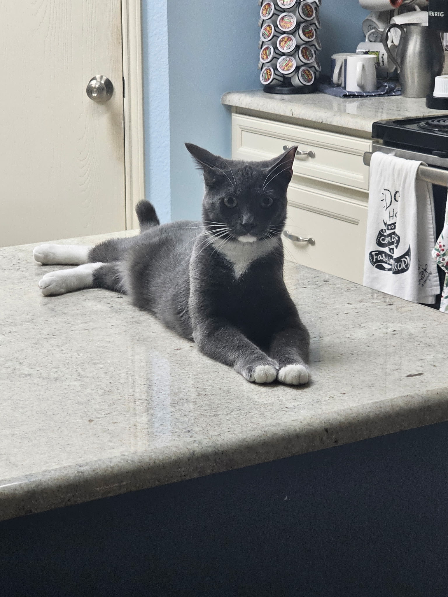 Valentino