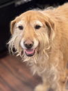 Maddy