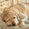 Maddy