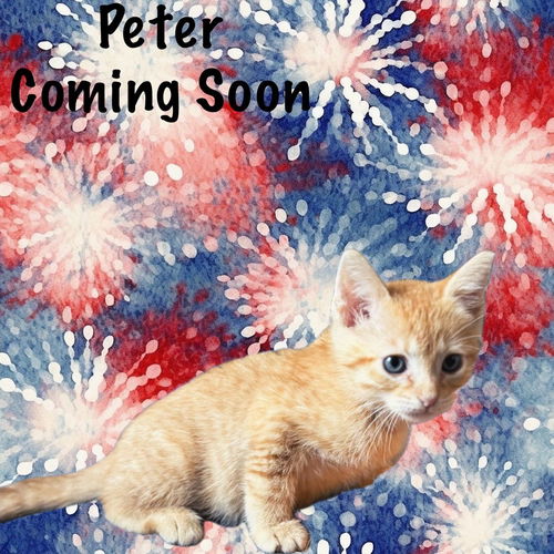 Peter